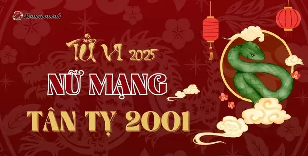 tử vi tuổi canh thìn năm 2025 nữ mang