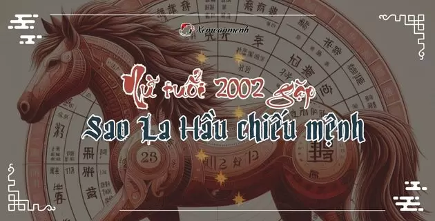 tử vi tuổi nhâm ngọ năm 2025 nữ mạng