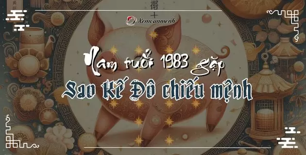 tử vi tuổi quý hợi năm 2025 nam mạng