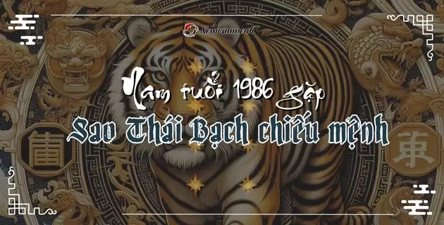 tử vi tuổi bính dần năm 2025 nam mạng 