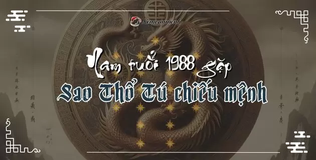 tử vi tuổi mậu thìn năm 2025 nam mạng