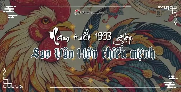 tử vi tuổi quý dậu năm 2025 nam mạng