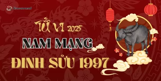 tử vi tuổi đinh sửu nam mạng năm 2025