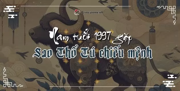 tử vi tuổi đinh sửu nam mạng năm 2025