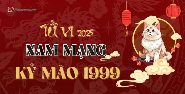 Luận tử vi tuổi Kỷ Mão năm 2024 nam mạng 1999: Mưu Cầu Khó Thành