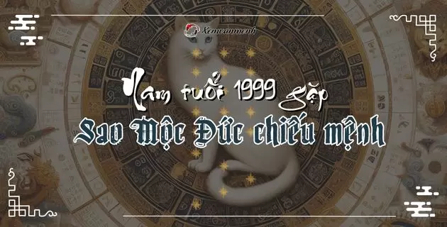 tử vi tuổi kỷ mão năm 2025 nam mạng