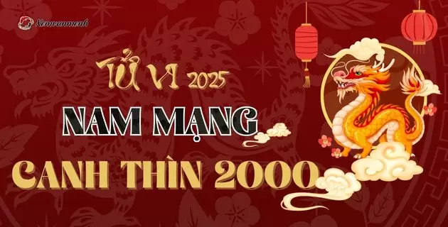 tử vi tuổi canh thìn nam mạng năm 2025