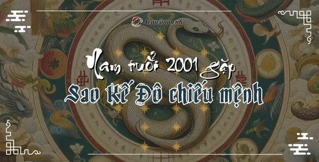 tử vi tuổi tân tỵ nam mạng năm 2025