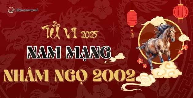 Xem tử vi tuổi Nhâm Ngọ năm 2025 nam mạng: Gia Đạo Thiếu Hòa Khí