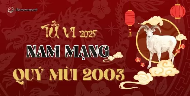 Xem tử vi tuổi Quý Mùi năm 2025 nam mạng #2003: Mưu Cầu Dễ Thành