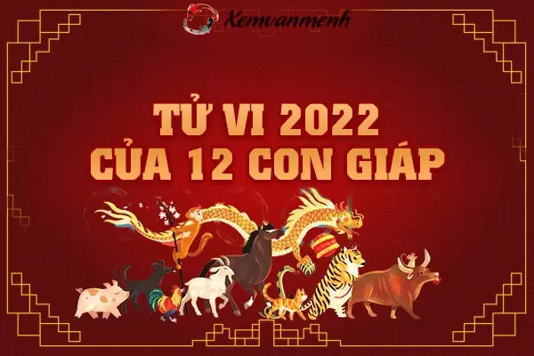 tu-vi-2022-cua-12-con-giap